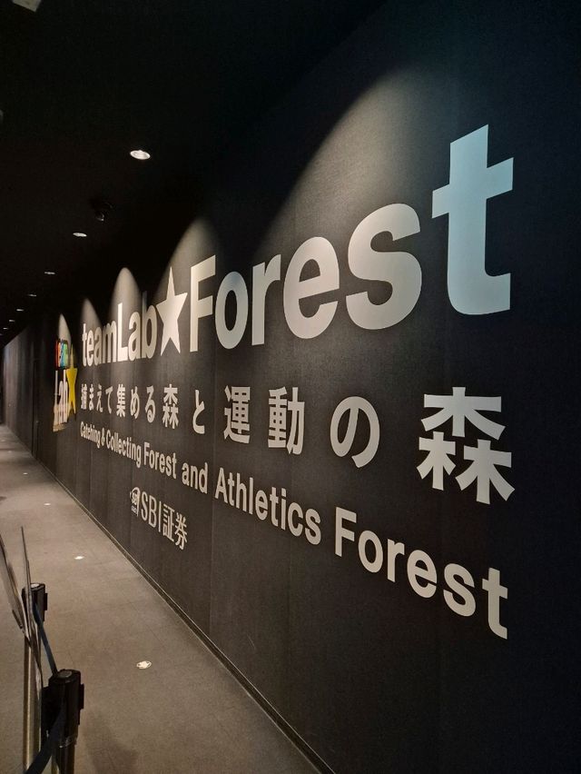 Teamlab Forest Fukuoka 🌳
