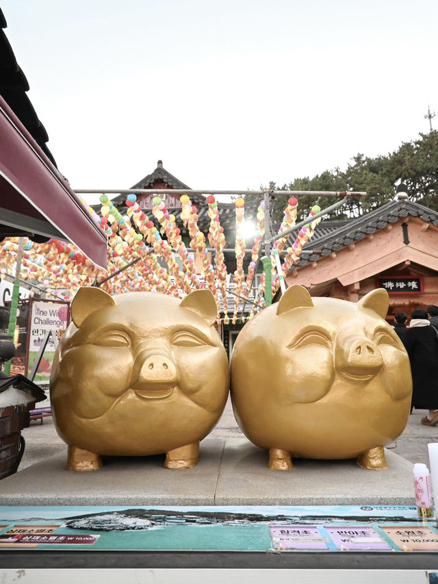 【釜山】美しい海のお寺 海東龍宮寺