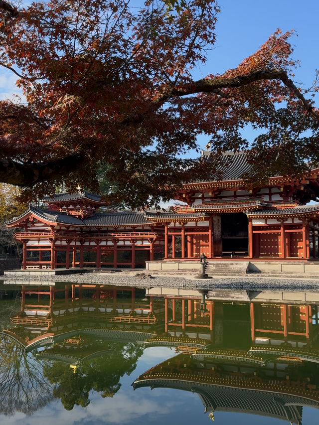 Byodo-in Temple: A Must-Visit Landmark in Uji