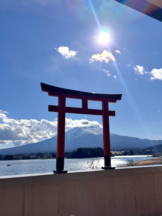 Oishi Park: Stunning Views of Mount Fuji Unobstructed