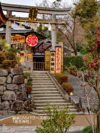 混んでいても行きたい京都の定番【清水寺】