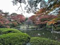 喜歡自在慢遊的夥伴，相信會喜歡「東京庭園美術園」