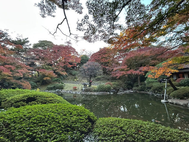 喜歡自在慢遊的夥伴，相信會喜歡「東京庭園美術園」