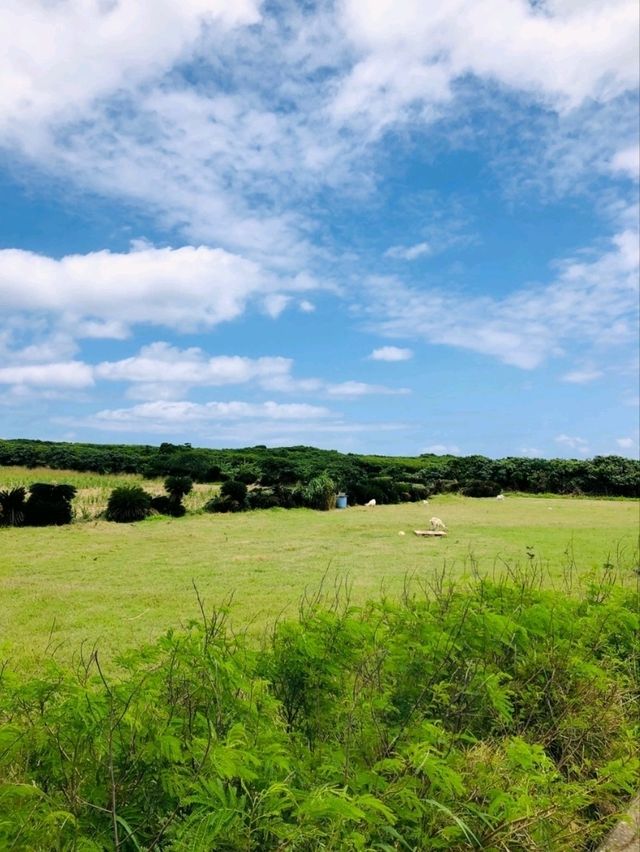 【波照間島にある日本最南端の碑】