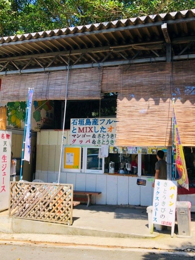 【石垣島のジャングル】