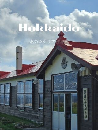 【電影拍攝地】