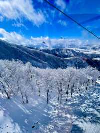 野澤温泉村酒店實測