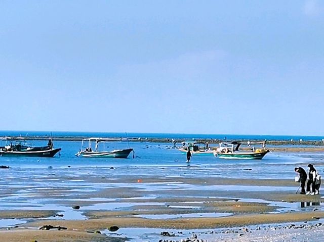 放坡村浪漫趕海