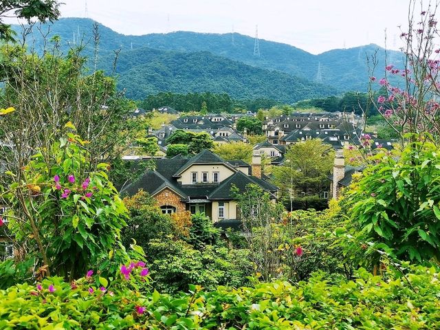 玉龍公園