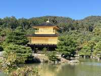 The Golden Pavilion: Kyoto’s Majestic Treasure