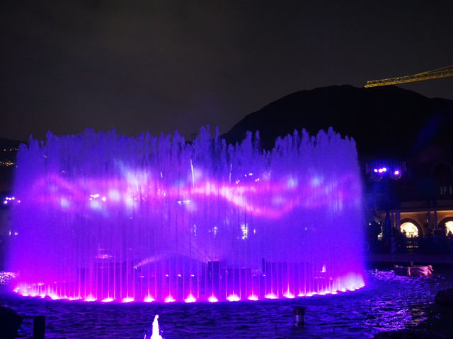 Swooping Over the Sea: Ocean Park's Best Moments