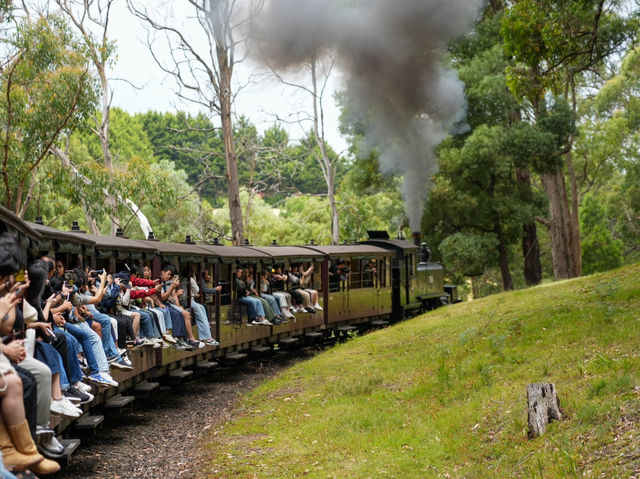 Puffing Billy澳洲小火車，來一場穿越古今的蒸汽火車旅程！🚂🚂