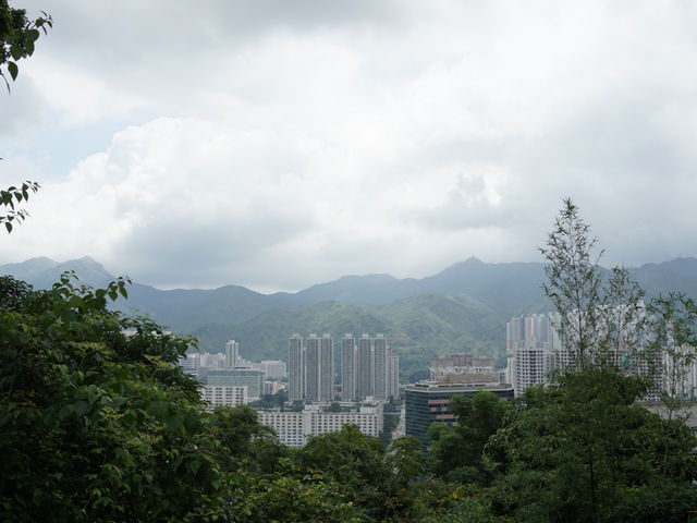 10,000 Buddhas, One Journey: A Peaceful Escape in Sha Tin