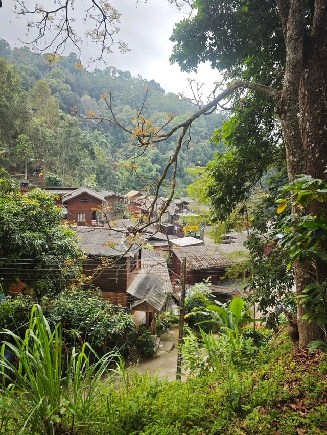 Day Trip To Mae Kampong, Chiang Mai