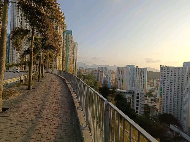 遊香港：觀塘山上安達臣發展區景色