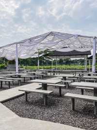 Tomodachi Social Space