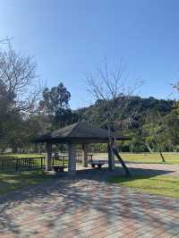桃園 三坑自然生態公園 🏞️ 自然之景 山明水秀