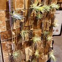 走進 Wooderful life療癒系木作世界