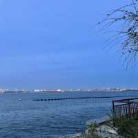 Punggol’s Coastal Charm: A Perfect Day Walk Along the Seaside and Promenade