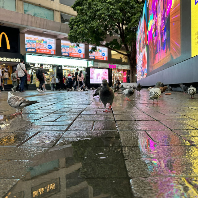 陰天也很美的尖沙咀海傍攝影點