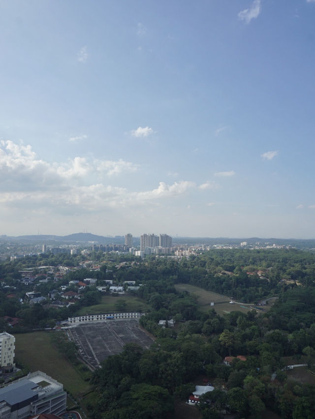 From Skyline to Greenery: The Serene Beauty of Skyville @ Dawson