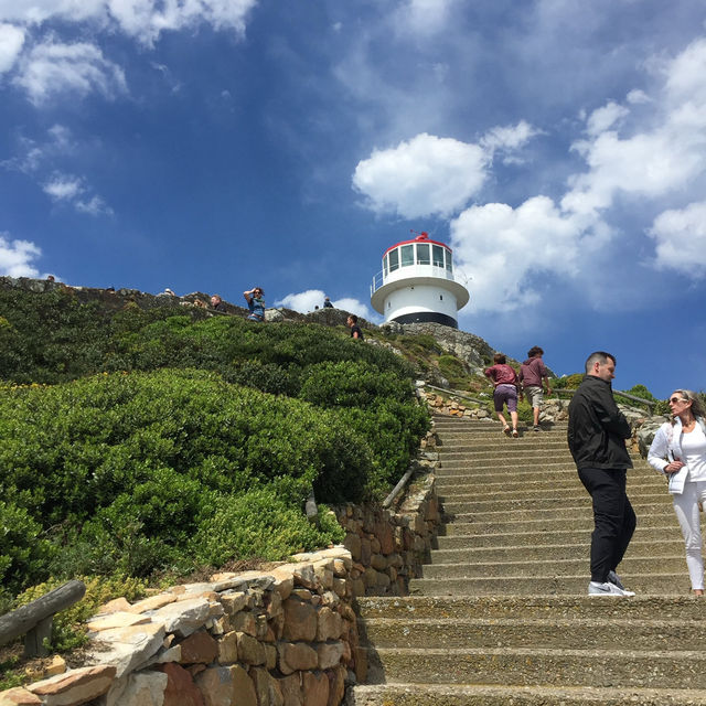 開普角之旅X壯麗美景與歷史探索