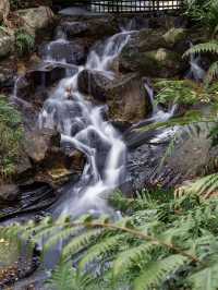 Zhishan Garden: A Hidden Gem of Classical Elegance in Taipei
