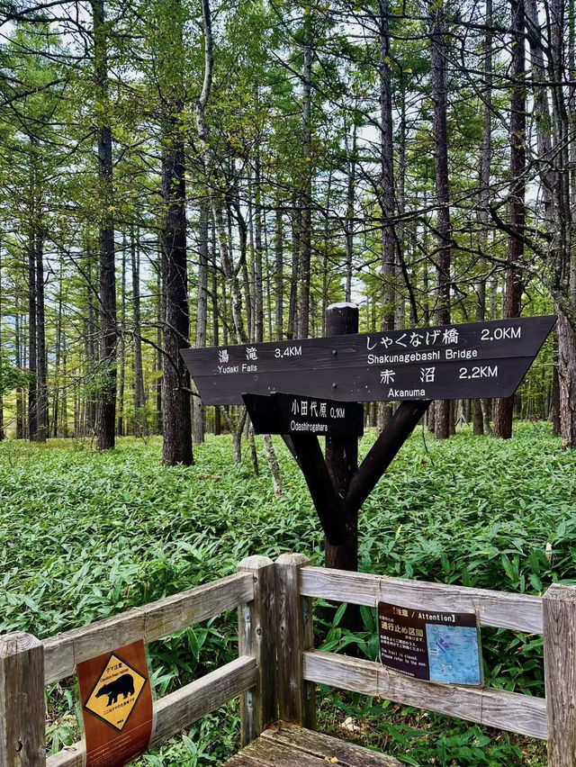 Nikko National Park: An Outdoor Paradise of Mountains, Waterfalls, and History