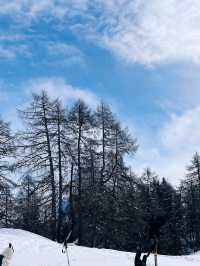 🎿 Skiing in Davos: Switzerland’s High-Altitude Adventure 🏔️❄️