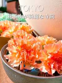 花手水と切り絵御朱印が有名な寺院