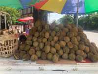 Finding a whole bunch of Durian sellers on the roads of Taungngoo 