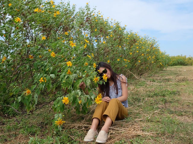 พาเที่ยวรับลมหนาวที่ ทุ่งดอกบัวตอง🌻 ลำปาง