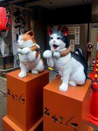 🐾 Exploring Yanaka Ginza: Tokyo’s Cat Lover’s Paradise! 🐱✨