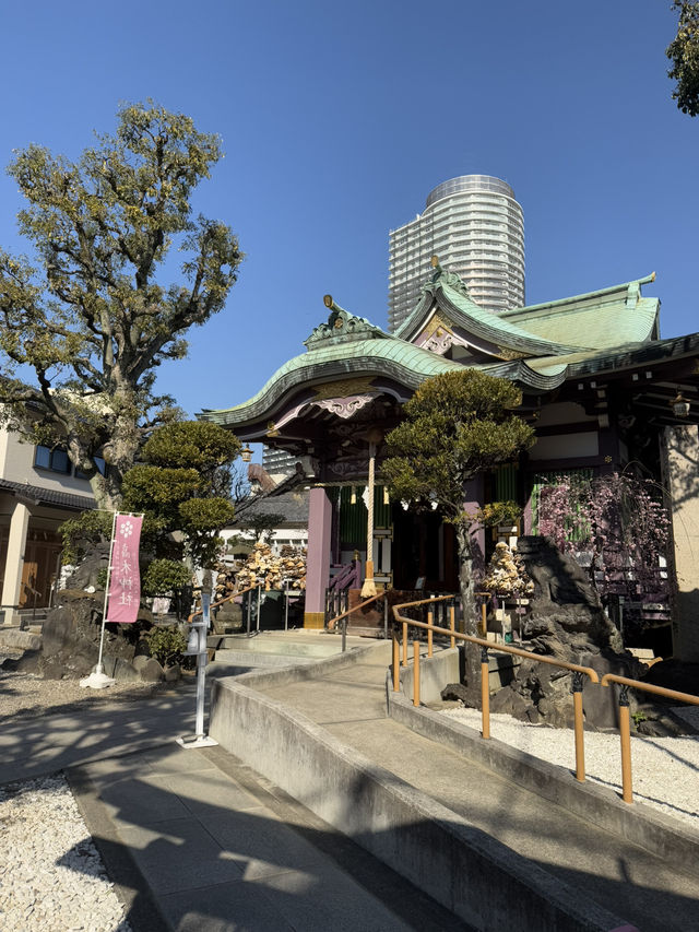 A Hidden Gem in Tokyo – Takagi Shrine⛩️