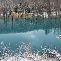 겨울여행에 빠질 수 없는 삿포로 비에이☃️