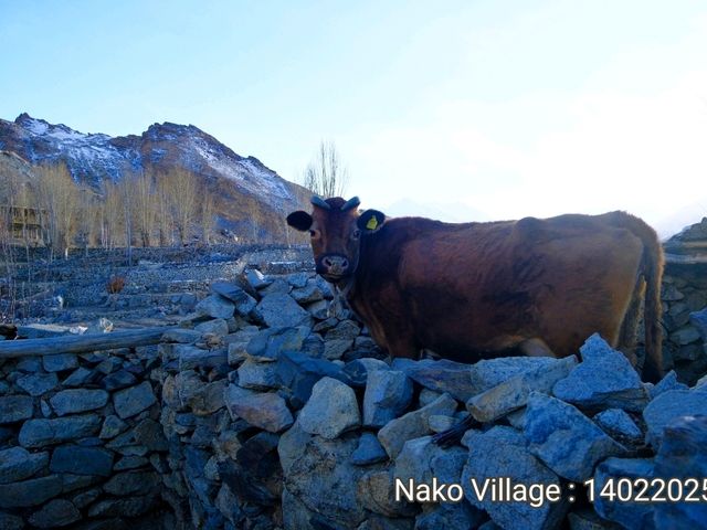 Nako Village
