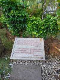 A Peaceful Escape at China-Malaysia Friendship Garden
