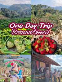 One day trip อ.ฝาง จ.เชียงใหม่