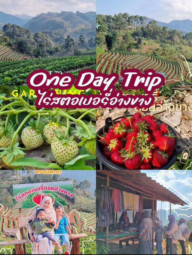 One day trip อ.ฝาง จ.เชียงใหม่