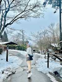 ✨🍂 หมู่บ้านพื้นเมืองฮิดะ 🍃✨