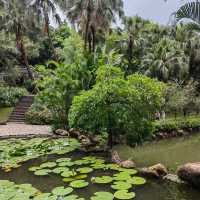 ～水聲潺潺～關渡自然公園