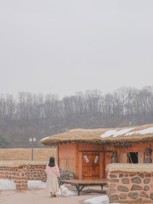 분단의 아픔과 역사, 철원의 아름다운 자연 그리고 우리집 강아지가 함께한🤎