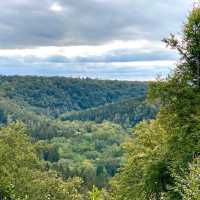 De Biesbosch National Park