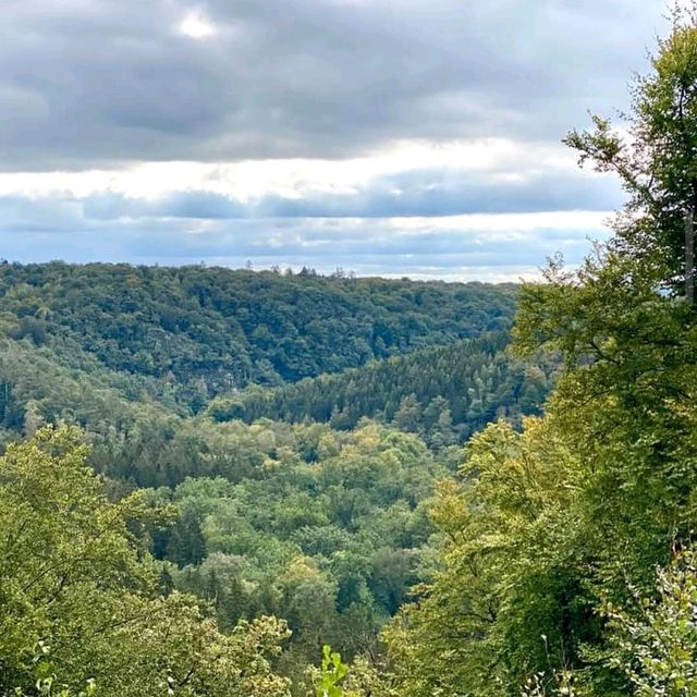 De Biesbosch National Park