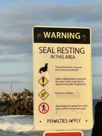 A Coastal Escape to Narooma