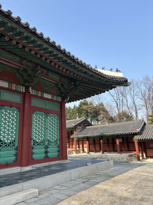 조선왕실 구경하는 서울 경희궁 나들이😍