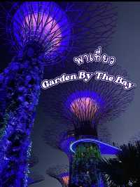 พาเที่ยว Garden by the Bay – สวนอวตารแห่งสิงคโปร์