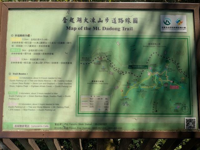 奮起湖大凍山，杉林雲海之間的親山健行步道