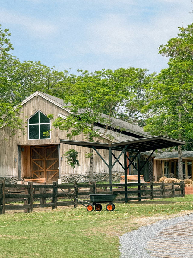 Trot Cafe Khaoyai ⛰️🐎