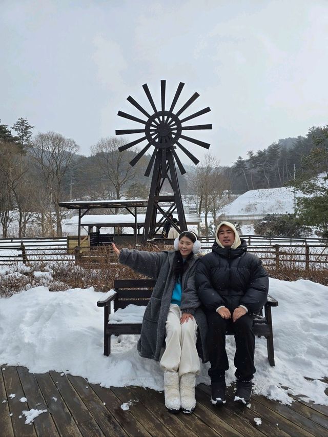 잊지못할 겨울왕국의 완성 평창여행🤍